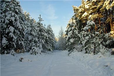 肉鸽游戏《长安：石之舞》Steam页面上线 支持简体中文